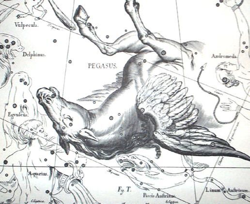Pegasus Constellation