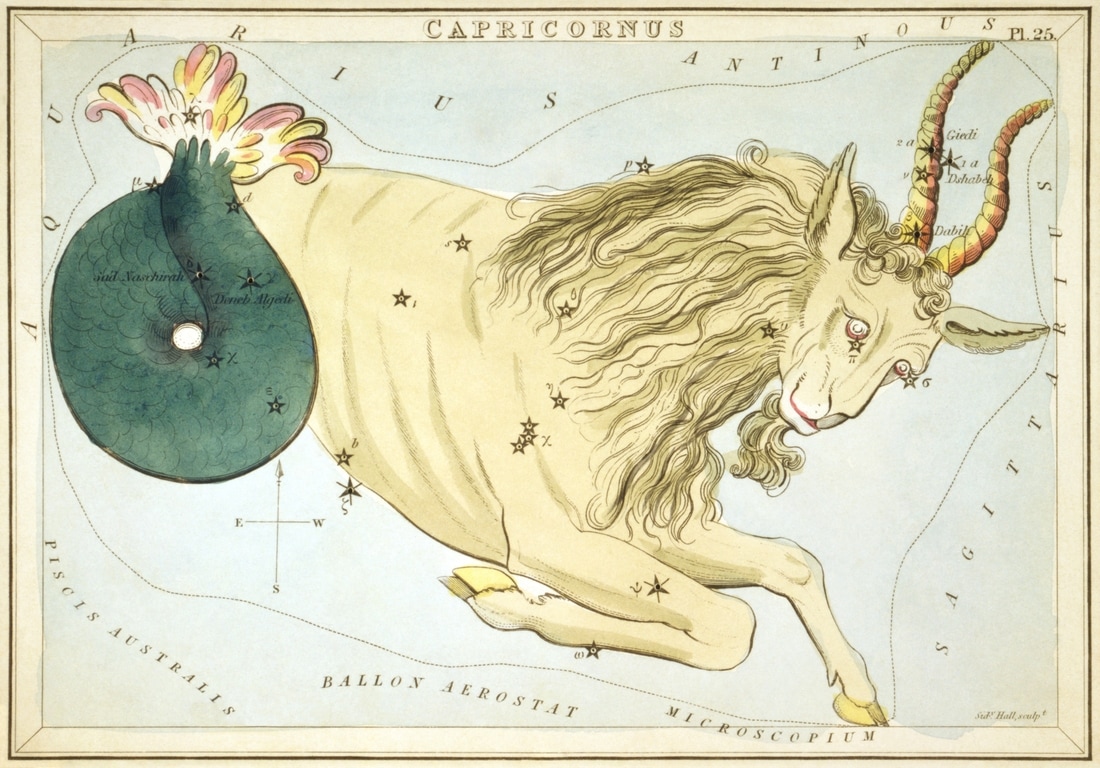Capricronus Constellation